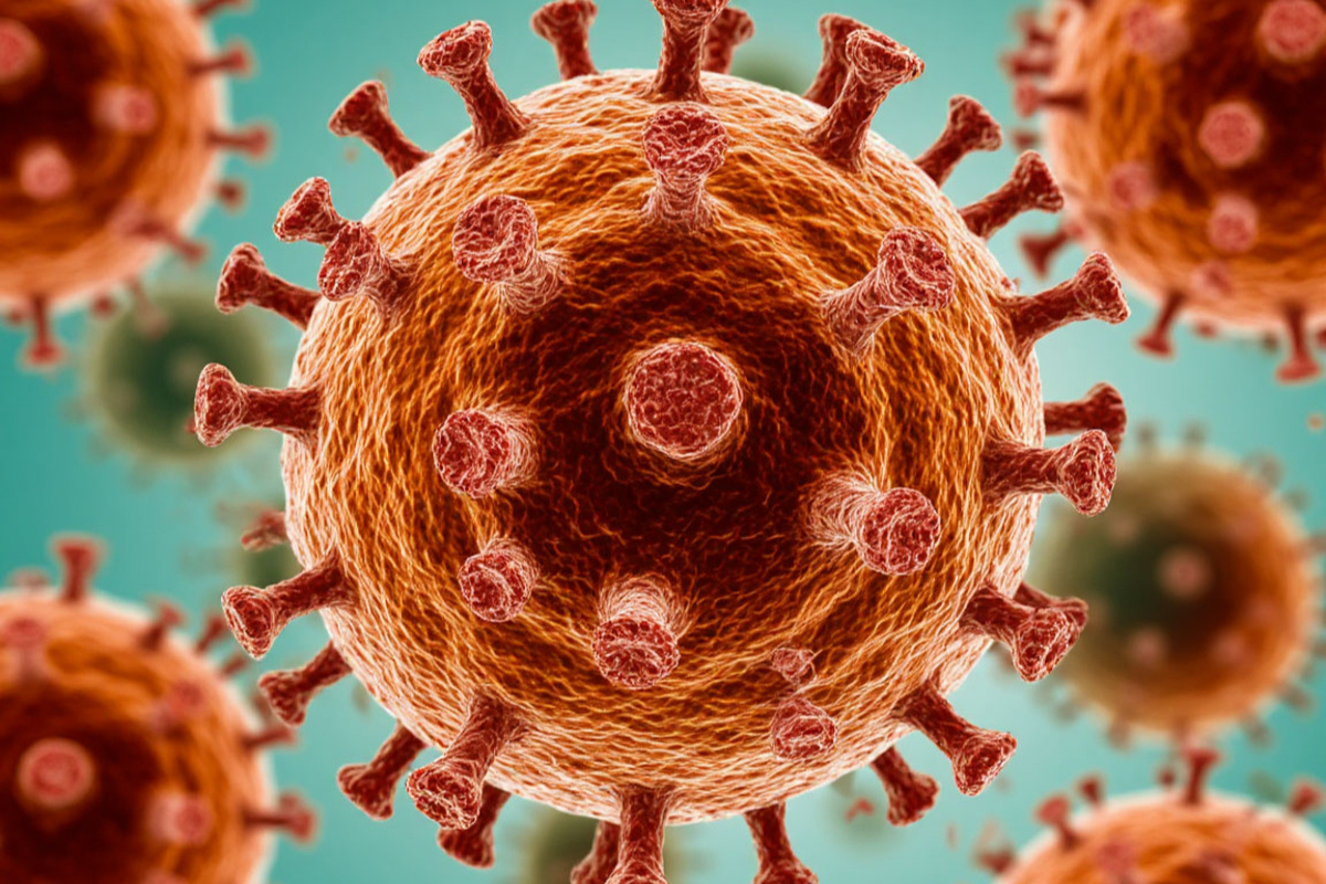    Фото: коллаж RuNews24.ru