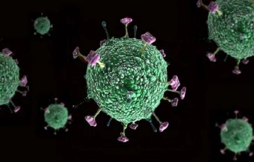    Лекарства нет, смертность свыше 40 процентов. В Индии проснулся опасный вирус