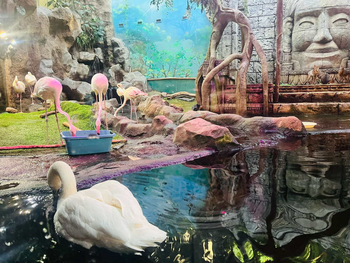 Экзоопарк в Санкт-Петербурге. Фото: Виктория Устюгова