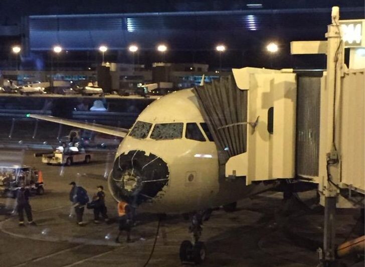 © Beau Sorensen / Twitter