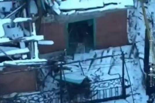 Обложка © Telegram/ Kadyrov_95