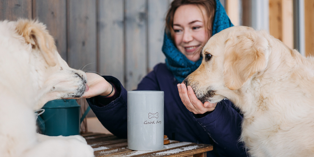 Как научить собаку выплёвывать находку на улице