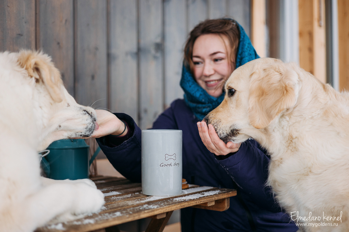 Я часто даю лакомство собакам, и всегда держу его в кармане.