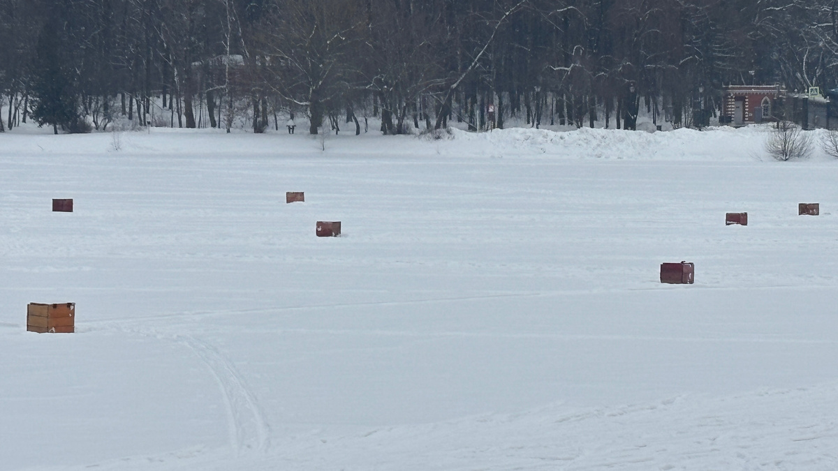 Пруд в парке "Царицыно"
