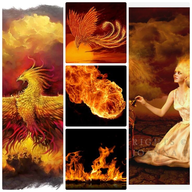 Символ 8-х лунных суток