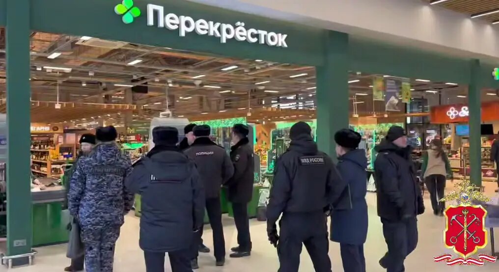    Фото: скриншот из видео пресс-службы ГУ МВД России по Петербургу и Ленобласти.