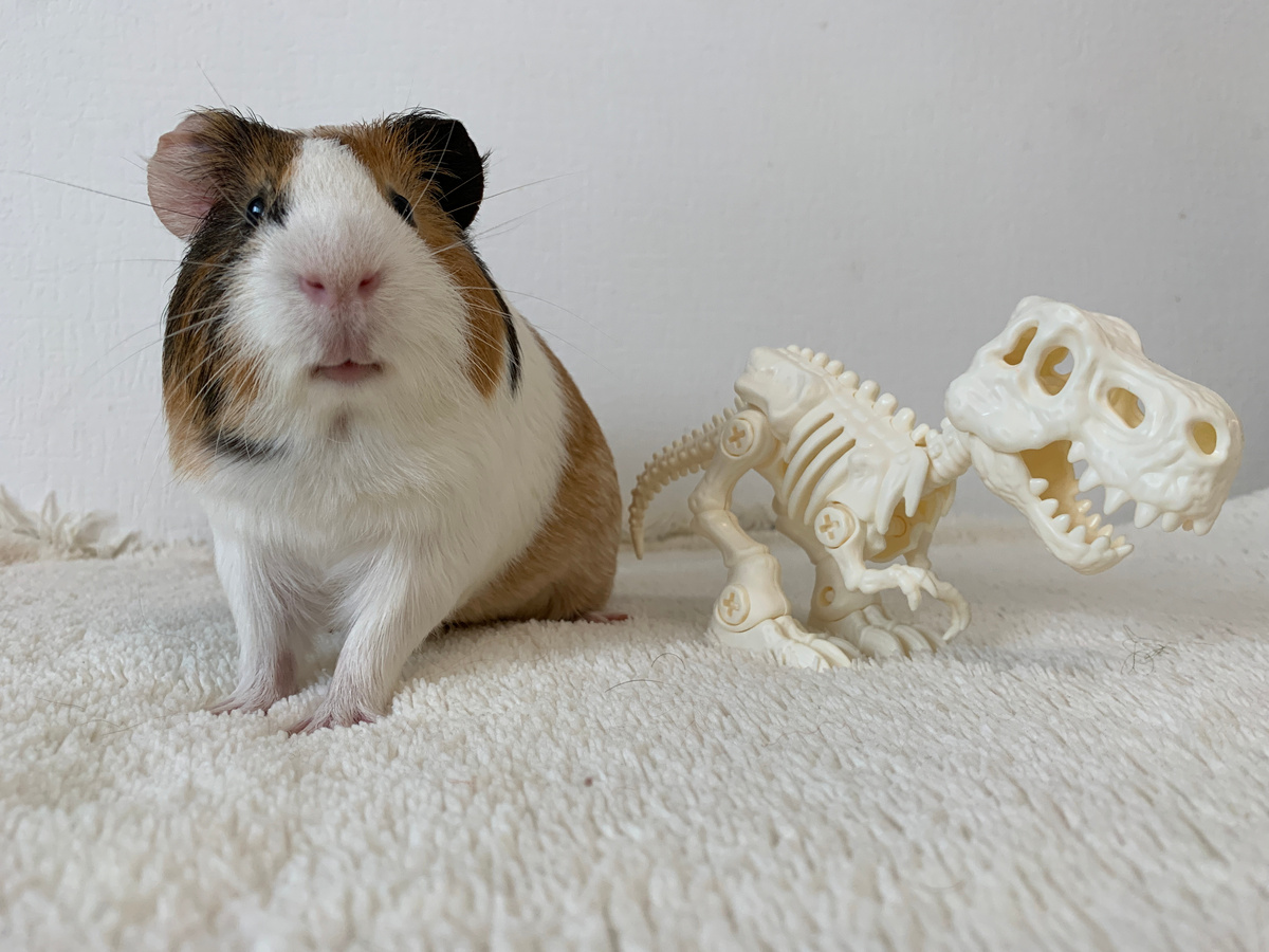 Батон с предком