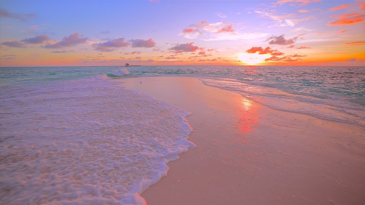 Картинка из Яндекс.Поиска