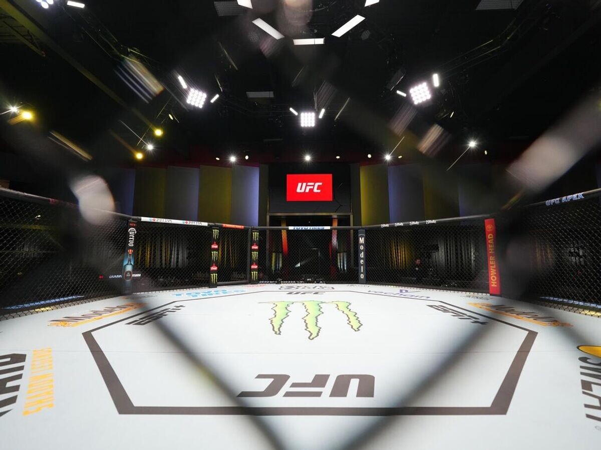    Октагон UFC | © UFC Russia