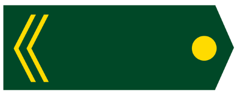 Геральдика погона ефрейтора НОАК