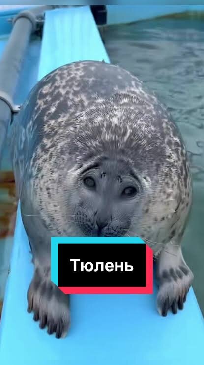 Картинка из Интернета 