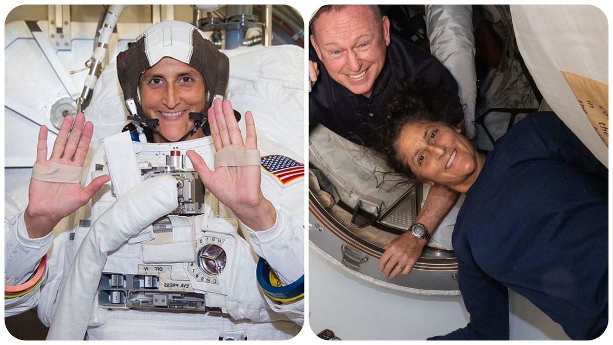 Фото: Коллаж Царьград