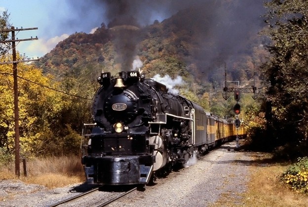  Картинки Яндекса 