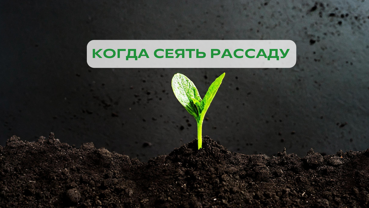 Главная ошибка, которая губит урожай!