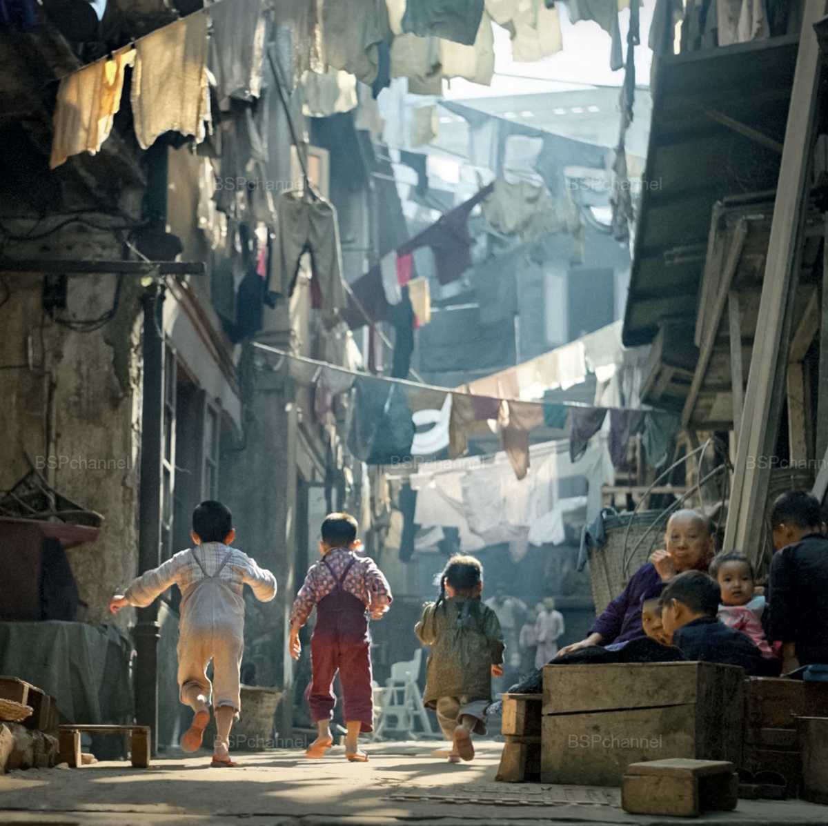 Фотограф: Фан Хо