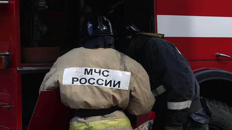    Фото: ИЗВЕСТИЯ/Павел Бедняков