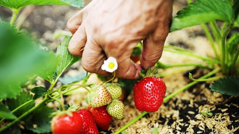   РИА Новости