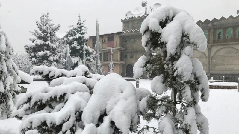    Фото: Naseer Rahin/Shutterstock/Fotodom