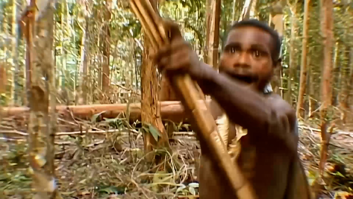 Контакт с племенем комбаи. Кадр из фильма "В гости к каннибалам"