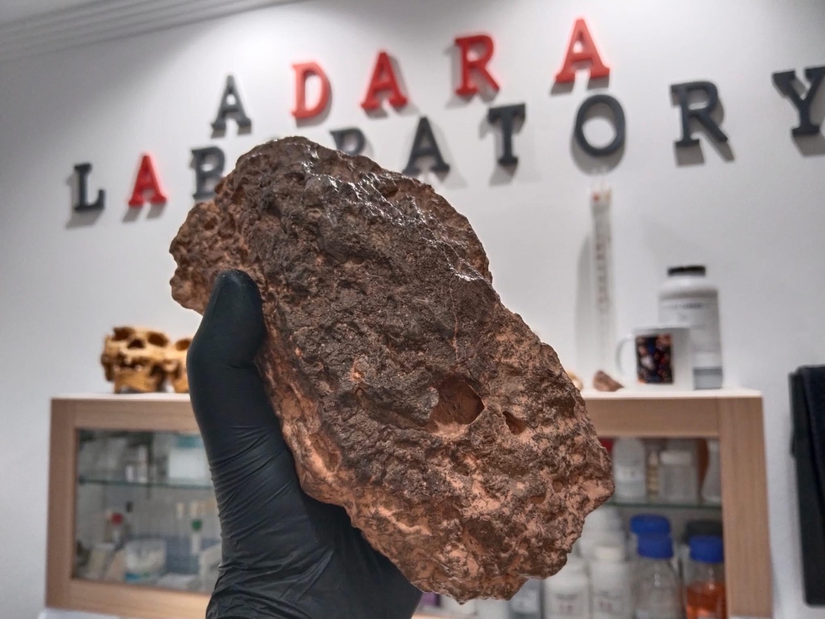 Источник: TC_Meteorite_Co / https://bit.ly/3O3fNj9 