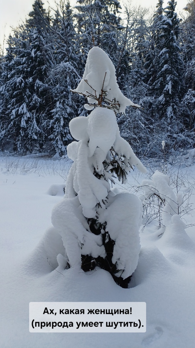 Фото Татьяны Федотовой
