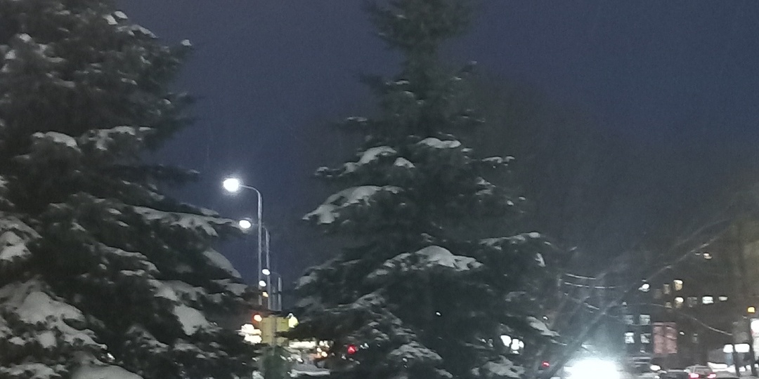 24.01.2026. Про завтраки и самостоятельность.