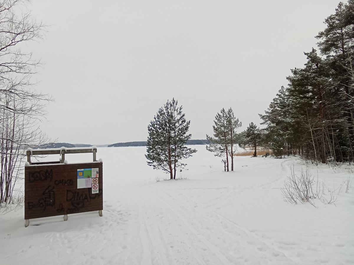 Пляж Voisalmi. В начале сентября 2025 г. ночевал тут в палатке