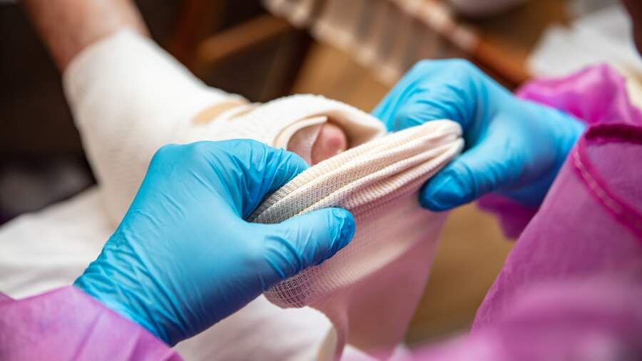    Фото: Getty Images/miriam-doerr