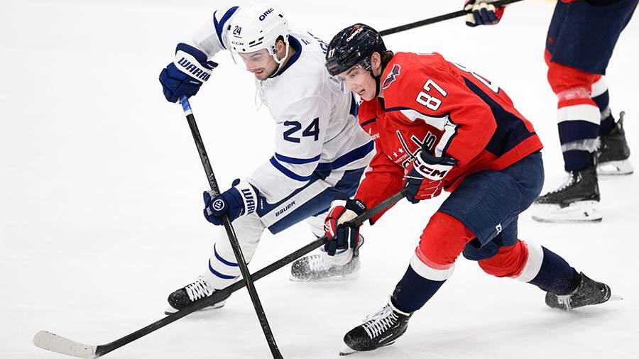    Фото: TASS/AP/Nick Wass