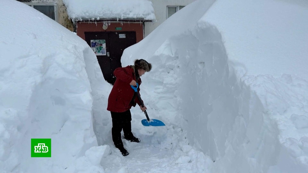    В Общественной палате призвали создать народные дружины для борьбы с сугробами