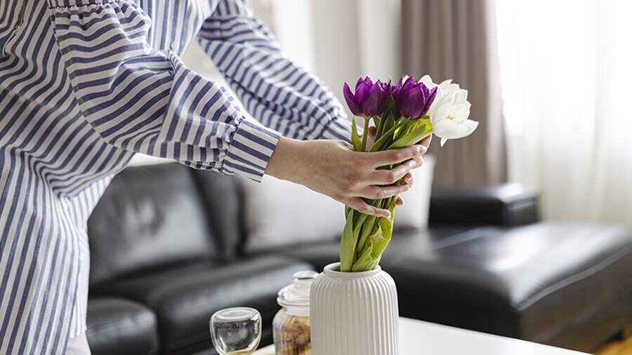    Фото: Getty Images/Eleganza