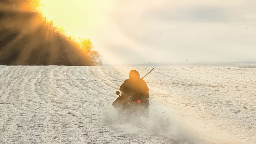    Фото: vladimir salman/Shutterstock/Fotodom