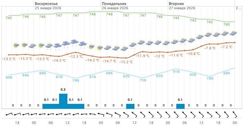    погода в Белгороде 25 января   метеоинфо