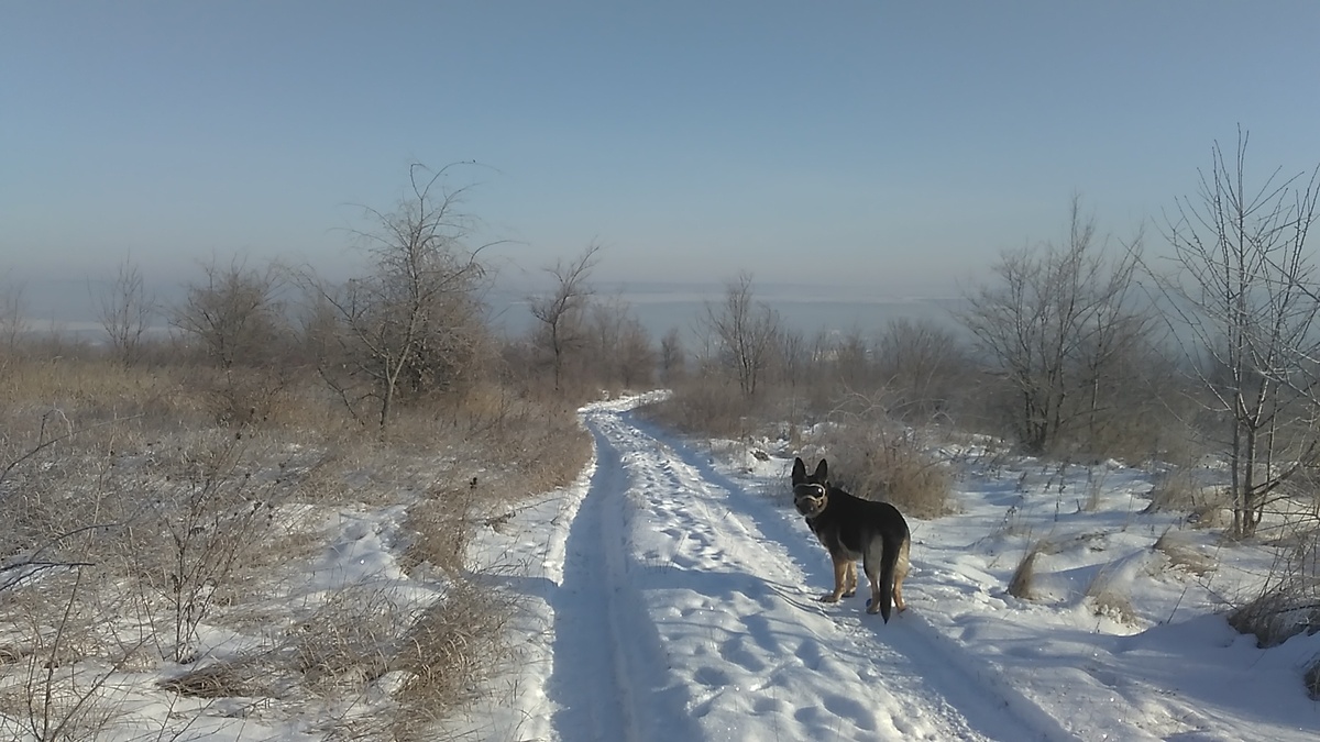 Фото автора