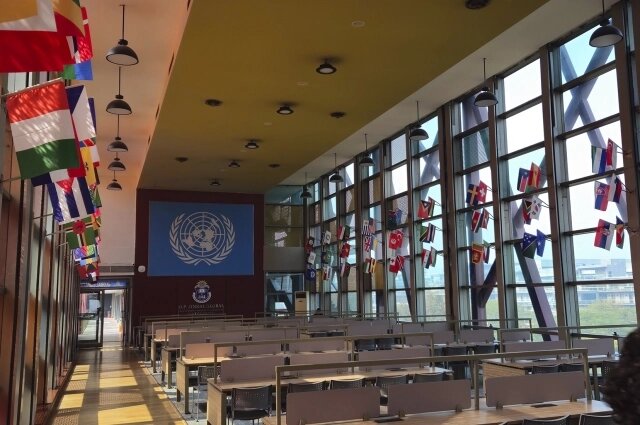    Библиотека в студенческом городке. Фото: Из личного архивa/ Артём Семко