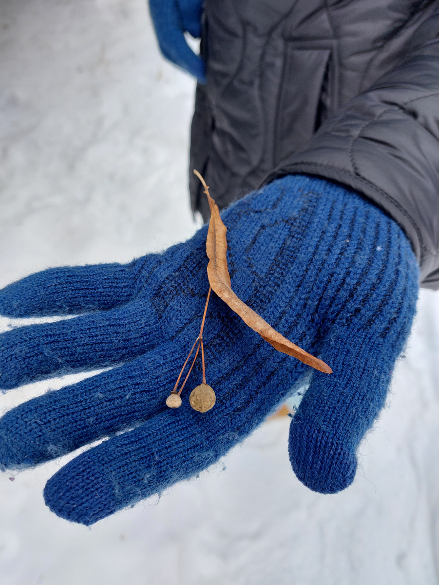 Фото автора статьи