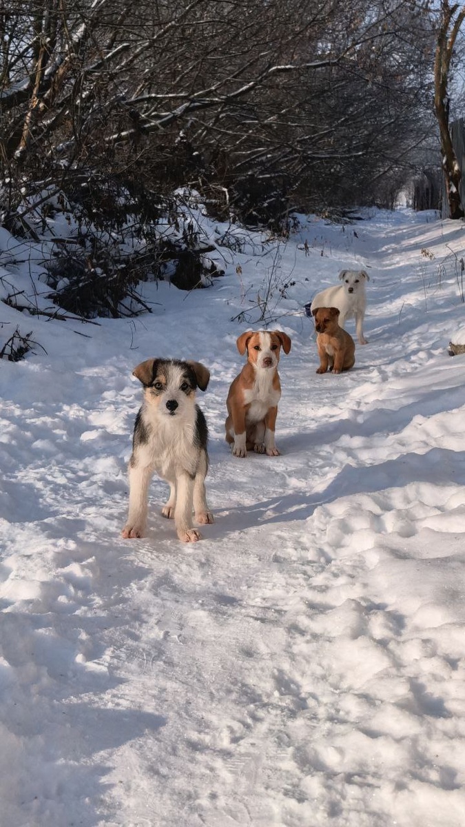 Равняйсь! Фото из архива автора