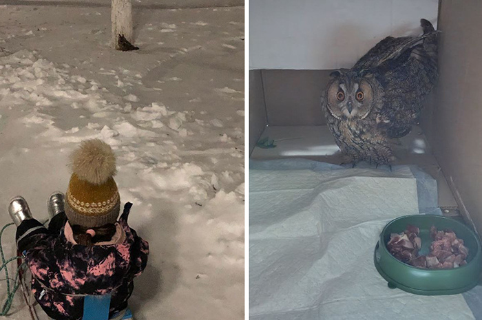 Фото тг-канала приюта "Зоодомик".
