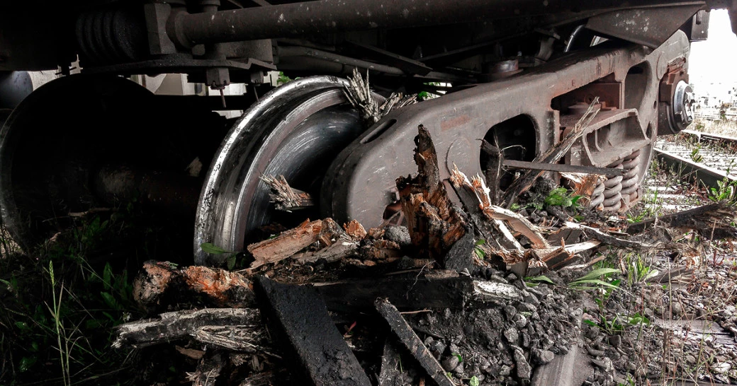 Фото: vit-vit | Shutterstock | Fotodom