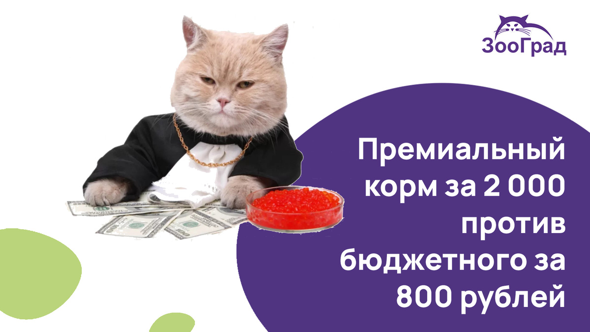 Мы провели собственное исследование на двух усатых испытуемых