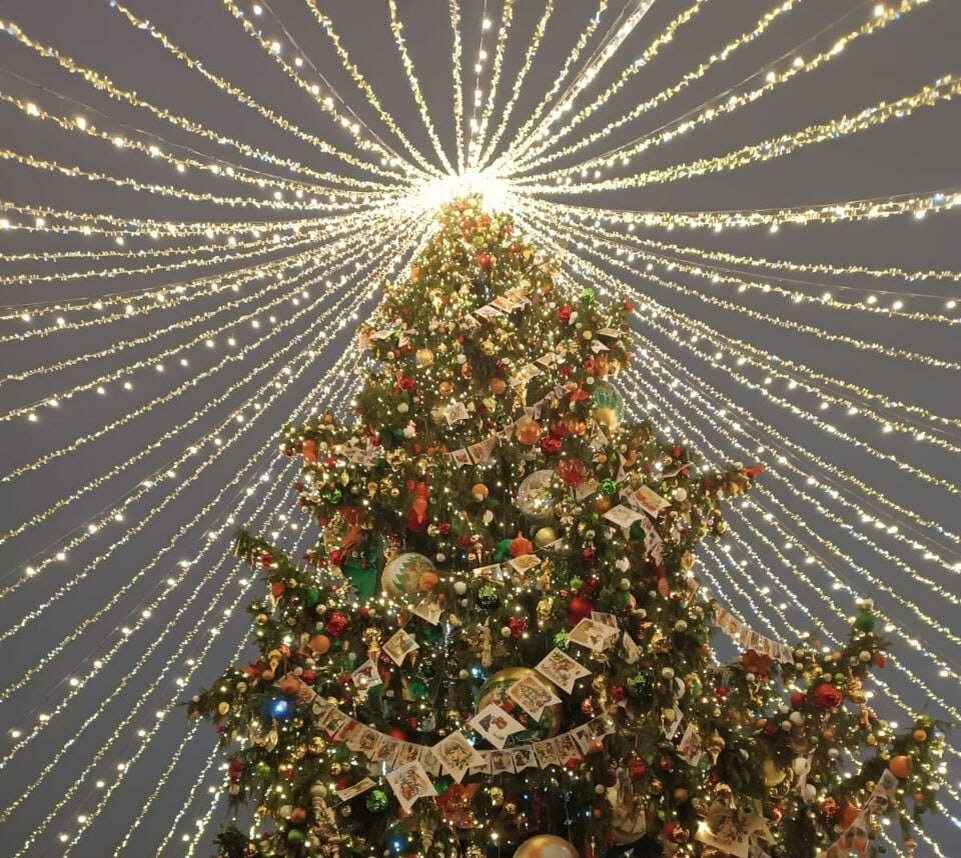 фото: Наталья Боброва