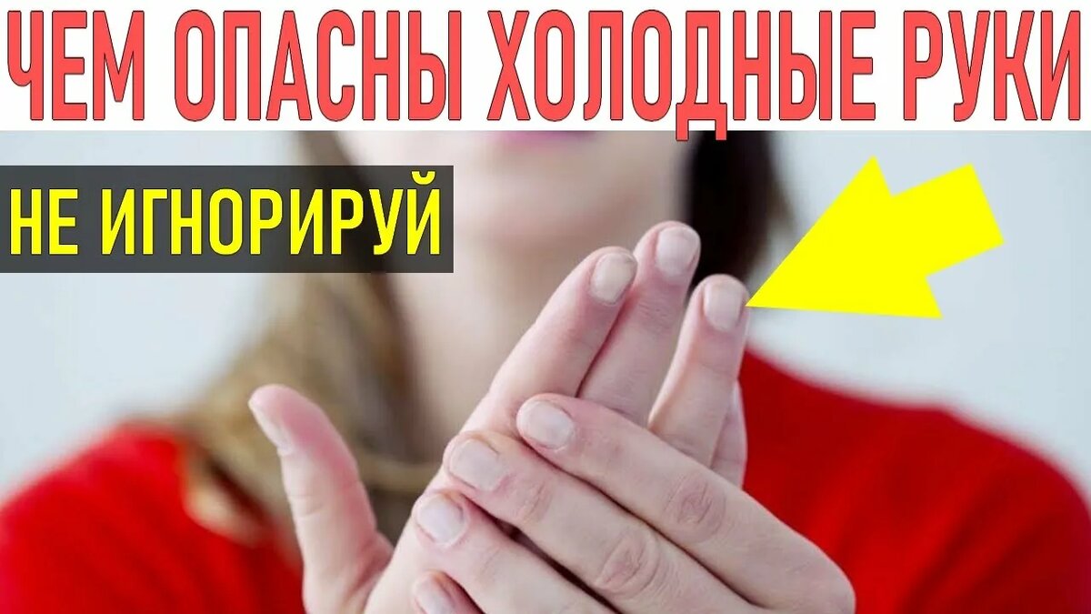 Изображение взято из открытого источника