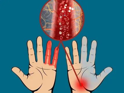 Изображение взято из открытого источника