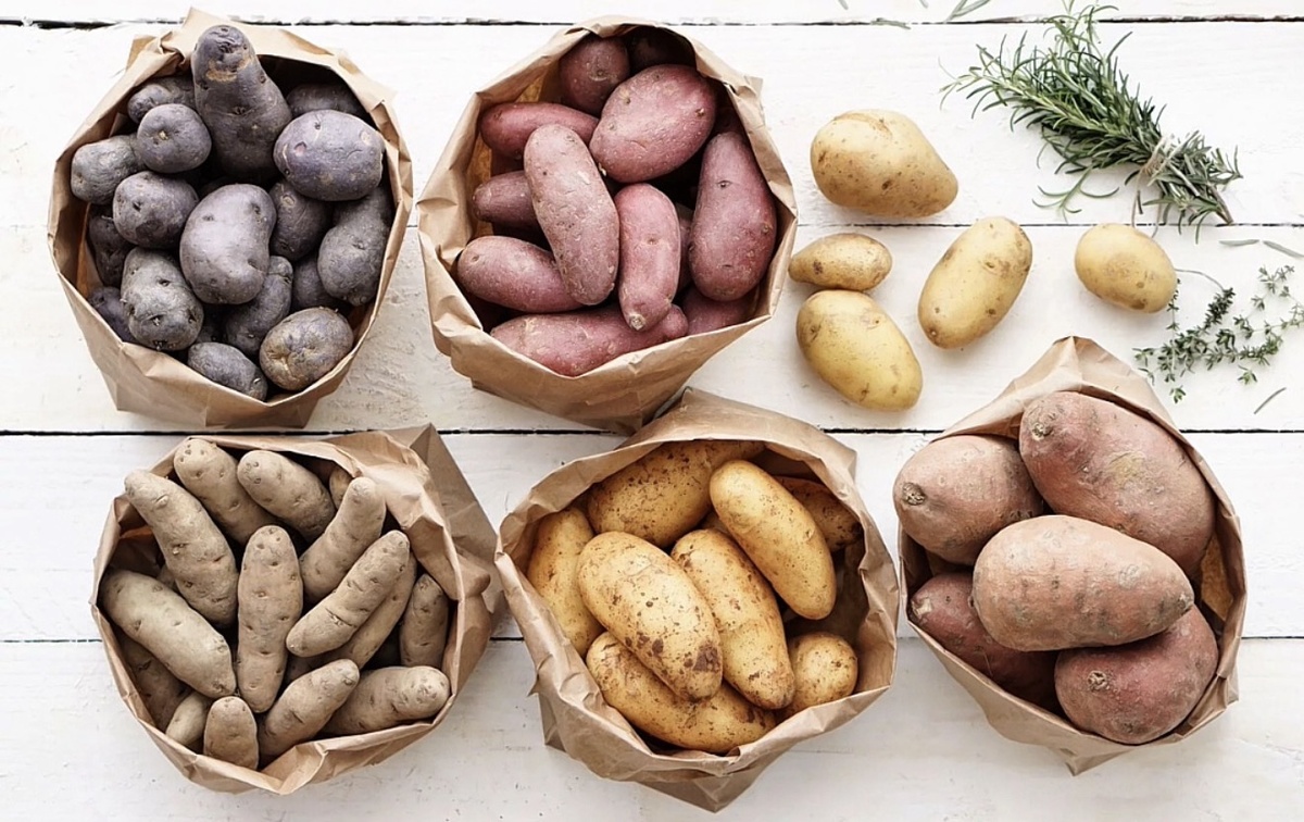 Сорта картофеля и его питание
