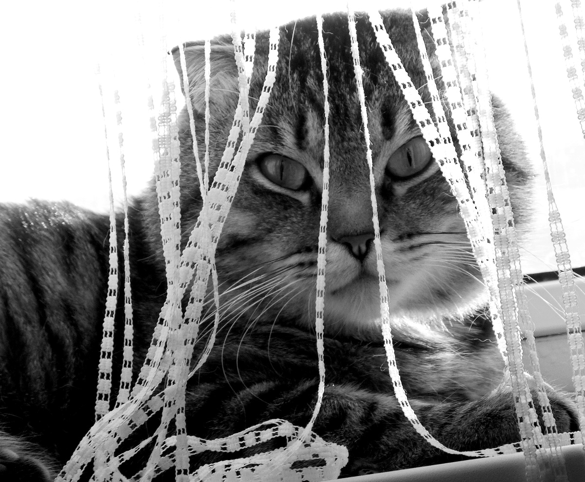 фото автора Panasonic FZ 45