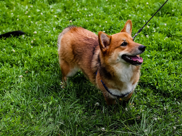     Фото: Наталья Мущинкина