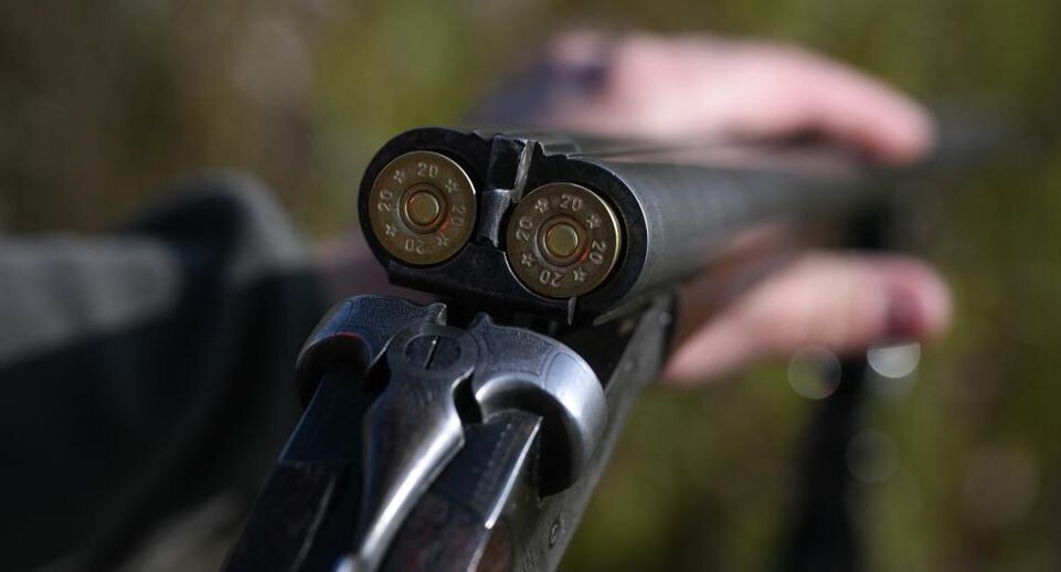    РИА «Новости»