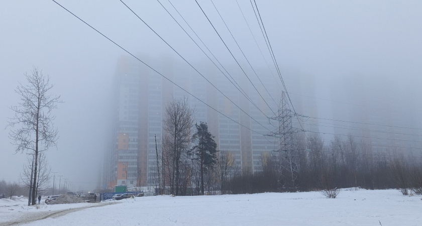    Фото из архива редакции