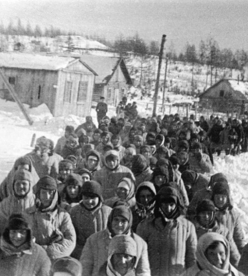 Осуэжденные. Фото в свободном доступе