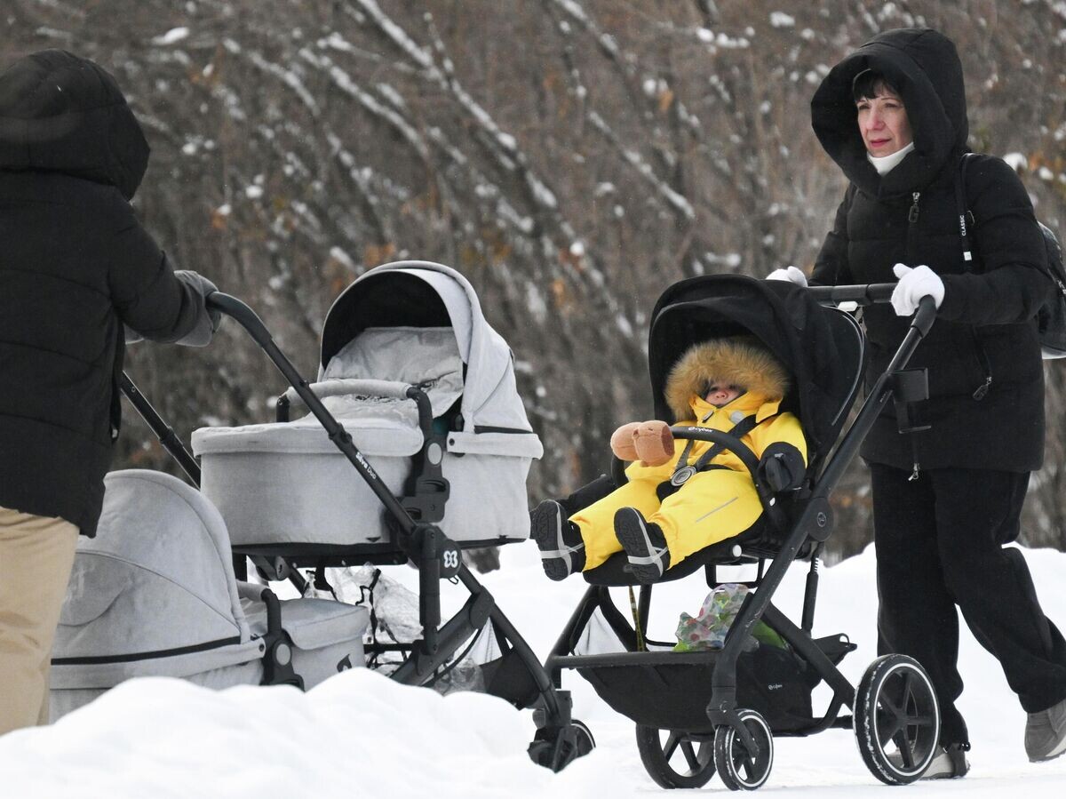    Женщины с колясками в парке | © РИА Новости / Александр Кряжев